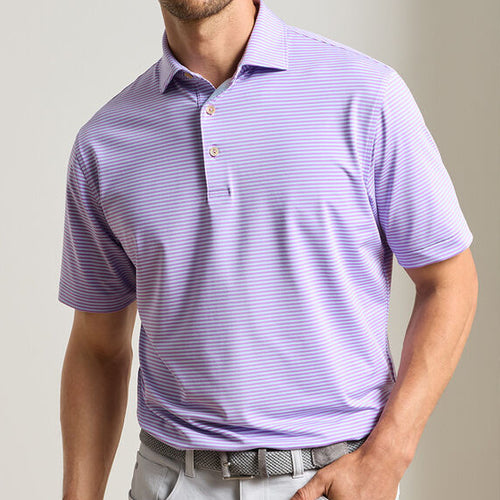 Peter Millar Hales Polo