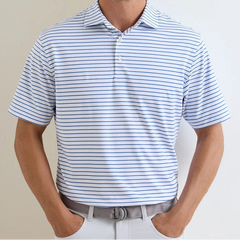 Peter Millar Dunnes Polo