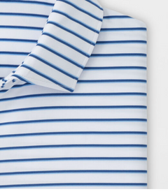 Peter Millar Dunnes Polo