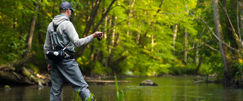 Accessories - Field and Stream