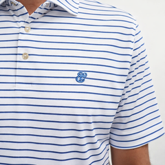 Peter Millar Dunnes Polo